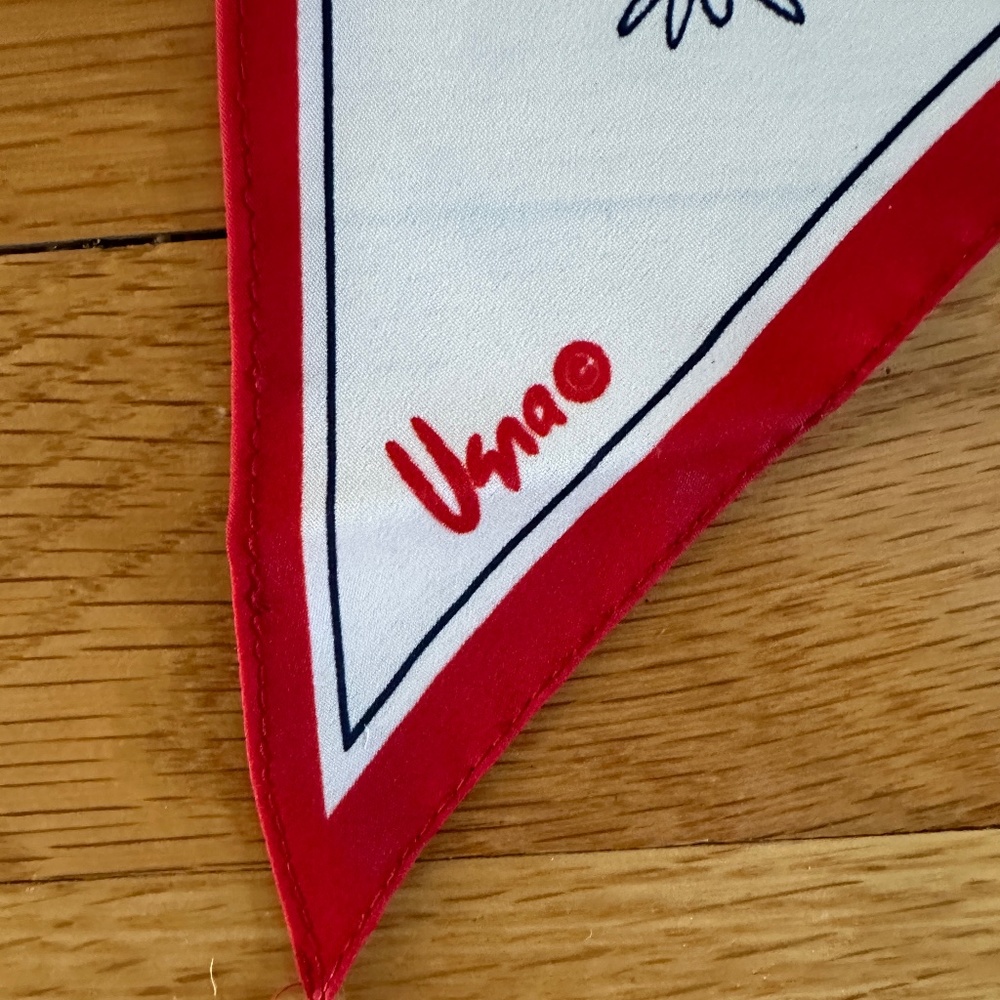 Veresa by Vera Scarf Red Blue White Vera Neuman Scarf - Picture 3 of 11